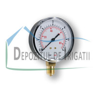 Manometru 6 bar - PLP;