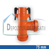 Teu egal aripa de ploaie, D = 75mm;